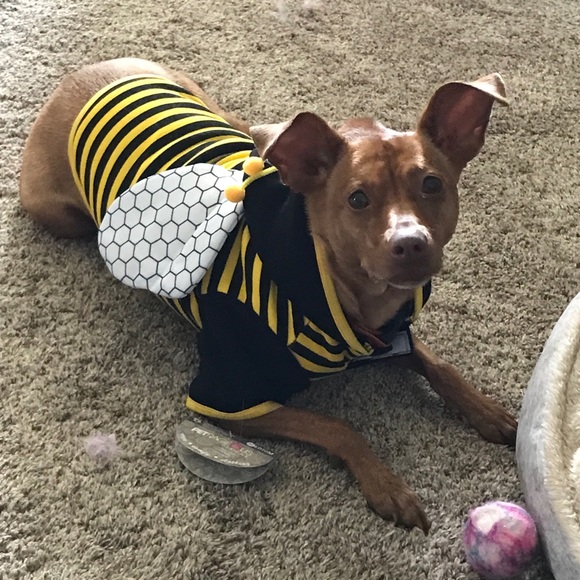 Meet your Posher, Deb - Picture 2 of 5